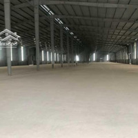 Bán Đất, Kho Xưởngdiện Tích11.000M2 Bình Giang, Hải Dương. Liên Hệ: 0979 929 686