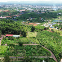 Cần Bán Lô Đất Đường Lý Thường Kiệt 1000M2 Giá Bán 3 Tỷ.