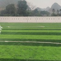 Bán Đất Mặt Đường Du Lịch 18 X 100M, Gia Hòa Gia Viễn Ninh Bình.