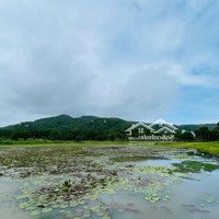 Lô Biệt Thự View Núi Giá Bán 1Ty 900 Gần Biển Phước Hải