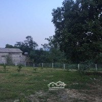 Bán Đất Nhà Vườn Giá 2 Triệu/M Tại Xã Liên Sơn Huyện Lương Sơn Hòa Bình