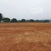 Bán 1,5Ha Đất Ccn Giá 1, 3 Triệu/M Xây Dựng Nhà Xưởng Nhà Máy