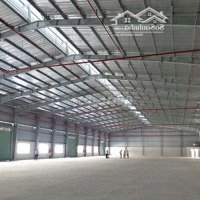 Nhà Xưởng Cần Cho Thuê Kcn Yên Mỹ Diện Tích 1900M2 3900M2 Pccc Đầy Đủ Thành Lập Epe, Fdi