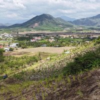 Gia Đình Bán 1,3 Hecta View Đẹp Làm Nhà Vườn, Homestay Đường Oto Gần Chợ Trường Diên Tân