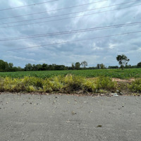 (Ngộp) 4345M2 Đất Mặt Tiền Đường Nhựa Tại Xã Phước An Huyện Nhơn Trạch - Giá Ngộp