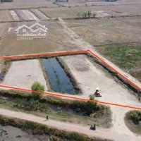 4490M2 Đất Lúa Giáp Đê Bao Giá 350 Triệu/1000M2