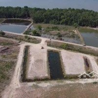 4490M2 Đất Lúa Giáp Đê Bao Giá 350 Triệu/1000M2