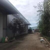 Cho thuê xưởng 1500m2 (TDT 2000m2) Dĩ An Bình Dương