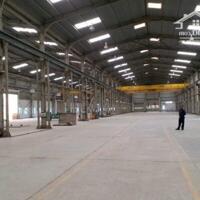 Bán xưởng 20000m2 KCN Mỹ Xuân, Tx Phú Mỹ, BRVT