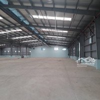 Cần Cho Thuê Kho 3100M2, Pccc Tự Động, Trần Cao 8M Đường Nhánh Phan Văn Hớn, Quận 12.