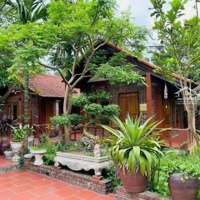 Bán Homestay Nghỉ Dưỡng Tại Xã Tiến Xuân, Thạch Thất 7600M2 View Cao Đẹp, Sẵn Khuôn Viên