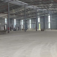 Cho Thuê Kho Siêu Rẻ 4.000M2 Ngay Mặt Tiền Đường Tân Thới Nhất 1, P. Tân Thới Nhất, Quận 12