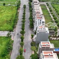 Bán Đất Shophouse Tl277 Nam Hồng Đồng Kỵ Từ Sơn Garden City, Giá Rẻ Nhất Tp Từ Sơn Bắc Ninh