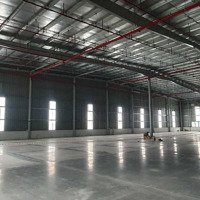 Cho Thuê Xưởng Trong Kcn Mỹ Phước - Bình Dương. Cho Thuê Từ 1300M2 Đến 15.000M2