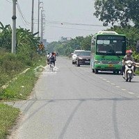 Cần Bán 1056M Đất Hằng Năm Tại Chùa Thầy, Sài Sơn,Mặt Tiền15M Trục Chính Đường Dh08 Rộng 12M, Vỉa Hè 3M