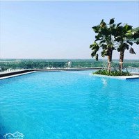 Quỹ 65 Căn Chung Cư View Hồ Tây Mua Trực Tiếp Cđt Dự Án D''leroi Soleil 59 Xuân Diệu Quảng An Tây Hồ