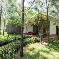 Bán Gấp Biệt Thự Forest Villa, 140M2, Giá 2,4 Tỉ