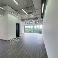 Hàng Hiếm Cho Thuê Officetel The Sun Avenue - Diện Tích Lớn 65M2, Văn Phòng Làm Việc An Phú, Quận 2