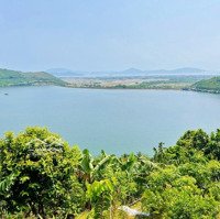 3,5Ha (View Hồ Tu Bông) - Có Trồng Sầu Riêng