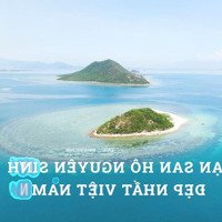 Siêu Phẩm 4 Lô Bãi Tắm Tư Nhân Duy Nhất Mặt Biển Đảo Điệp Sơn Giá Đầu Tư Chỉ 3 Triệu/M2