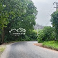 Bán 5000M2 Đất Trang Trại, Có Thổ Cư, Giá Rẻ, Gần Việt Phủ Thành Chương, Minh Phú, Sóc Sơn, Hà Nội