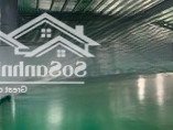 Pccc Tự Động Từ 2000M2 - 22.000M2 Kcn Tân Tiến - Văn Giang, Khuôn Viên Riêng, 60Nghìn/M2/Tháng