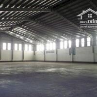 Cho thuê kho xưởng 8000m2; 9000m2; 17000m2; 25000m2; 50000m2 trong KCN Phú Mỹ 1, Huyện Phú Mỹ, Bà Rịa Vũng Tàu