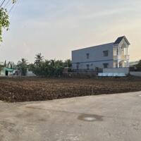 2000m2 đất lúa được chuyển thổ đường 3m