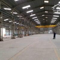 Cho Thuê Xưởng Phước Tân, Biên Hòa 5000M2 Chỉ 80 Triệu. Liên Hệ