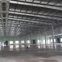 Cho thuê kho xưởng 6300m2 trong KCN Tam Phước, Biên Hòa, Đồng Nai