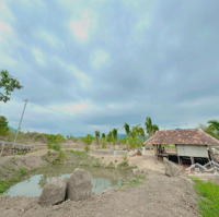 Chuyển Nhượng Nhanh Farm Suối Khoáng Nóng Tại Ninh Tây, Ninh Hòa. Qh Full Thổ, Giá Bao Sang Tên