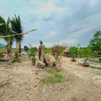 Chuyển Nhượng Nhanh Farm Suối Khoáng Nóng Tại Ninh Tây, Ninh Hòa. Qh Full Thổ, Giá Bao Sang Tên