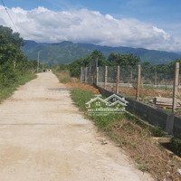 Đất Làm Vườn Diện Tích 1748M2 Tại Thôn Cây Xoài, Suối Tân, Cam Lâm, Khánh Hòa