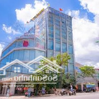 Cho Thuê Nhà Mặt Phố Bùi Thị Xuân,Diện Tích170M X 11 Tầng,Mặt Tiền7M, Thông Sàn, Cực Đẹp Cho Các Mô Hình!!