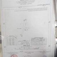 Chính Chủ Cần Bán Đất Xã Tân Phước,Thị Xã Lagi,Tỉnh Bình Thuận,Diện Tích9846 M2