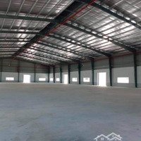 Cho Thuê Kho Mới Đẹp 2.000M2 Hẻm Lớn Xe Tải Đường Phạm Văn Sáng, Hóc Môn