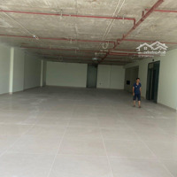 Cho Thuê Nhà Mặt Phố Xuân Thuỷ 300M2,Mặt Tiền12M, Giá Bán 100 Triệu. Lh:096/636/0204