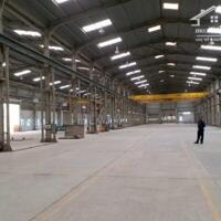 Cho thuê kho xưởng 5000m2, 10.000m2 đường Quốc Lộ 51, xã Long An, Long Thành, Đồng Nai