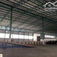 Cho Thuê Kho Xưởng 4.500M2 Trong Khu Công Nghiệp Tân Quý, Tân Thạnh Đông Củ Chi