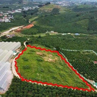 Gần 7000M2 View Săn Mây Nghỉ Dưỡng Phi Tô Lâm Hà Ven Đà Lạt Chỉ 2Ty850 Triệu