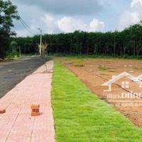 Bán Nhanh 250M2 Đất Có 100M2 Thổ Cư Đồng, Bình Phước