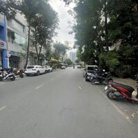 Cho thuê nhà phố để ở và làm văn phòng đường Phạm Thái Bường, Phú Mỹ Hưng, Q7