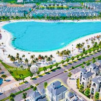 Sđcc Cần Bán Gấp Căn Song Lập Ngọc Trai Diện Tích 165M2 Tại Vinhomes Ocean Park 1 Giá Sốc