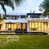 Bán Villa 5 Phòng Ngủ 800 M2 Tại Khu Biệt Thự Sanctuary Hồ Tràm, Bà Rịa Vũng Tàu