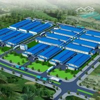 Bán Đất Xây Kho Xưởng Trong Kcn Mỹ Phước - Bình Dương. Chuyển Nhượng 6Ha, 8Ha, 14Ha Giá Siêu Rẻ