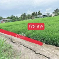 Đất Thổ Rẻ, 137M2 Chỉ 395 Triệu, An Nhựtbtaan, Tân Trụ, Long An