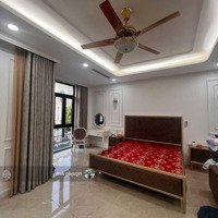 Bán 70,8M2 Liền Kề Full Nội Thất Cao Cấp View Vườn Hoa Ngọc Trai 6, Vinhomes Ocean Park