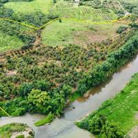 bán đất có thổ cư 9 hecta sẵn vườn Bưởi, Sầu Riêng giáp Sông 400m giá chỉ 210k/m2