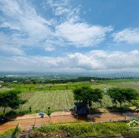 Cực Rẻ Đẹp! Đất View Thung Lũng Tại Xã Tân Văn Đất Cực Chil, 1000M2 Sẵn Thổ Cư