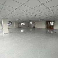 Nguyên Tòa Văn Phòng Trần Lựu, Vũ Tông Phan An Phú Q2 Hầm 5 Lầu 1000M2 - 1500M2 Gía 200 Triệu/Th